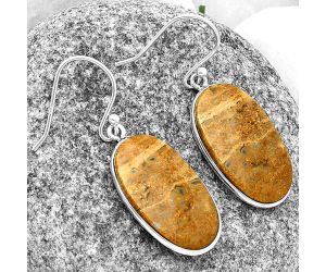 Natural Palm Root Fossil Agate Earrings SDE74819 E-1001, 14x23 mm