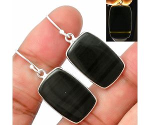 Black Lace Obsidian Earrings SDE75629 E-1001, 14x21 mm