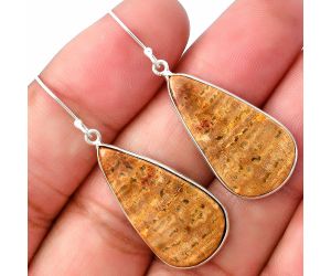 Palm Root Fossil Agate Earrings SDE75833 E-1001, 14x26 mm