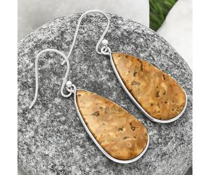 Palm Root Fossil Agate Earrings SDE77114 E-1001, 14x27 mm