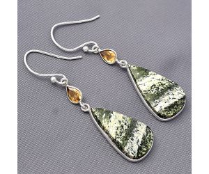 Natural Chrysotile and Citrine Earrings SDE77422 E-1002, 12x22 mm