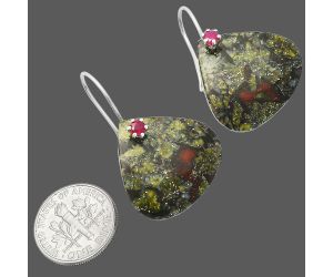 Dragon Blood Stone and Ruby Earrings SDE81993 E-1082, 22x22 mm