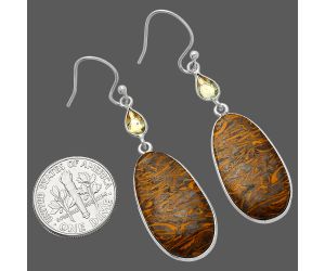 Coquina Fossil Jasper and Citrine Earrings SDE82525 E-1002, 13x24 mm