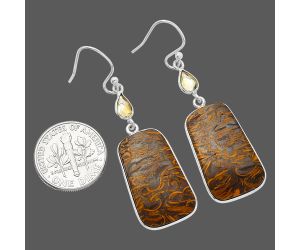 Coquina Fossil Jasper and Citrine Earrings SDE82528 E-1002, 14x23 mm