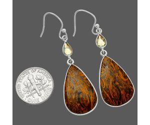 Coquina Fossil Jasper and Citrine Earrings SDE82533 E-1002, 14x24 mm