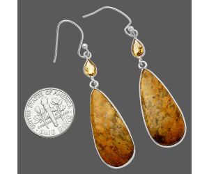 Palm Root Fossil Agate and Citrine Earrings SDE82536 E-1002, 12x27 mm