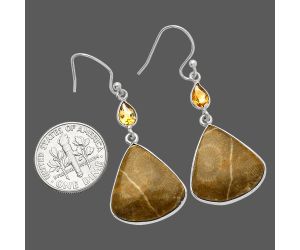 Flower Fossil Coral and Citrine Earrings SDE82537 E-1002, 17x19 mm