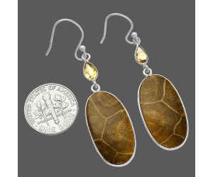 Flower Fossil Coral and Citrine Earrings SDE82540 E-1002, 13x25 mm