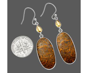 Coquina Fossil Jasper and Citrine Earrings SDE82543 E-1002, 12x25 mm