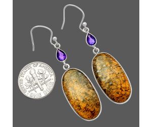 Palm Root Fossil Agate and Amethyst Earrings SDE82625 E-1002, 13x25 mm