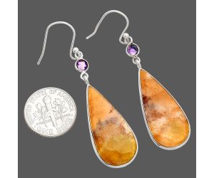 Red Moss Agate and Amethyst Earrings SDE84072 E-1002, 14x29 mm