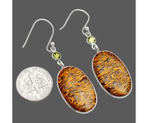 Coquina Fossil Jasper and Peridot Earrings SDE84182 E-1002, 15x24 mm
