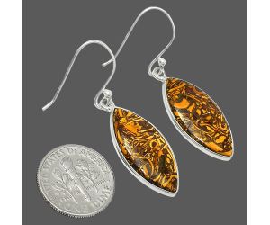 Coquina Fossil Jasper Earrings SDE84922 E-1001, 11x23 mm