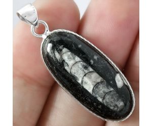 Natural Fossil Orthoceras - Morocco Pendant SDP100966, 14x30 mm
