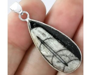 Natural Fossil Orthoceras - Morocco Pendant SDP101073, 14x30 mm