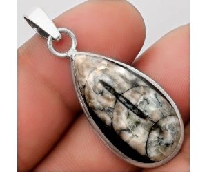 Natural Fossil Orthoceras - Morocco Pendant SDP108196, 14x28 mm