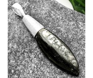 Natural Fossil Orthoceras - Morocco Pendant SDP111381 P-1016, 12x34 mm