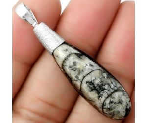 Natural Fossil Orthoceras - Morocco Pendant SDP111404, 12x32 mm