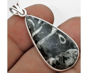 Natural Mexican Cabbing Fossil Pendant SDP122735 P-1001, 16x32 mm