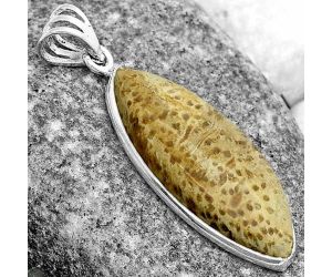 Natural Palm Root Fossil Agate Pendant SDP122767 P-1001, 13x32 mm