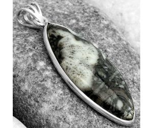 Natural Mexican Cabbing Fossil Pendant SDP123004 P-1001, 15x36 mm