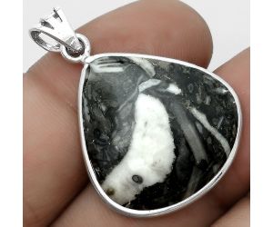 Natural Mexican Cabbing Fossil Pendant SDP123083 P-1001, 23x25 mm