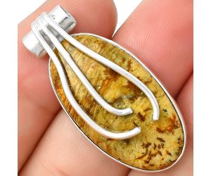 Natural Palm Root Fossil Agate Pendant SDP127477 P-1675, 16x31 mm