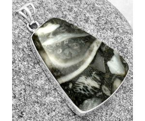 Natural Mexican Cabbing Fossil Pendant SDP128268 P-1001, 23x32 mm