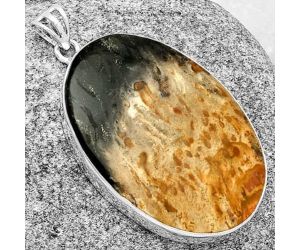 Natural Palm Root Fossil Agate Pendant SDP128412 P-1001, 27x40 mm