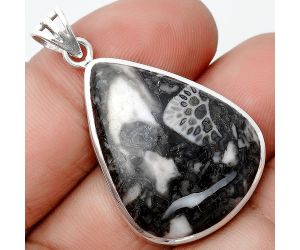 Natural Mexican Cabbing Fossil Pendant SDP129531 P-1002, 22x29 mm