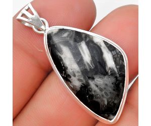Natural Mexican Cabbing Fossil Pendant SDP129774 P-1050, 17x29 mm