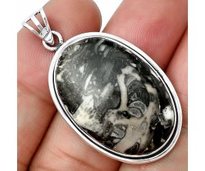 Mexican Cabbing Fossil Pendant SDP138881 P-1050, 19x29 mm