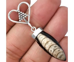 Heart - Fossil Orthoceras Point Pendant SDP141072 P-1721, 11x28 mm
