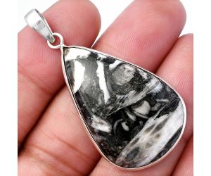 Mexican Cabbing Fossil Pendant SDP142016 P-1001, 23x35 mm