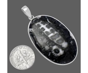 Crinoid Fossil Coral Pendant SDP142111 P-1001, 24x40 mm