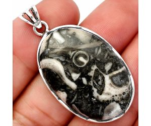 Mexican Cabbing Fossil Pendant SDP146962 P-1310, 22x32 mm