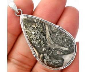 Mexican Cabbing Fossil Pendant SDP147405 P-1064, 22x39 mm