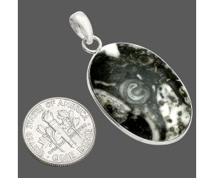 Mexican Cabbing Fossil Pendant SDP150303 P-1001, 20x29 mm