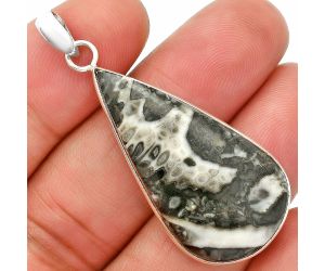Mexican Cabbing Fossil Pendant SDP150304 P-1001, 19x36 mm