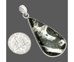 Mexican Cabbing Fossil Pendant SDP150304 P-1001, 19x36 mm