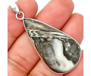 Mexican Cabbing Fossil Pendant SDP150324 P-1001, 22x40 mm