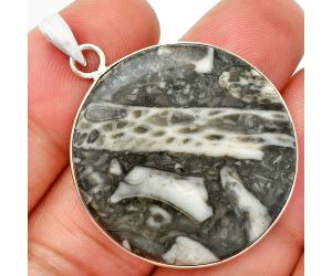 Mexican Cabbing Fossil Pendant SDP150329 P-1001, 31x31 mm