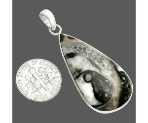 Mexican Cabbing Fossil Pendant SDP150332 P-1001, 19x35 mm