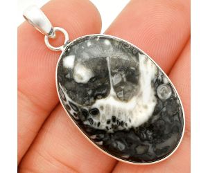 Mexican Cabbing Fossil Pendant SDP150397 P-1001, 20x30 mm