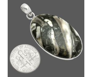 Mexican Cabbing Fossil Pendant SDP150399 P-1001, 22x34 mm