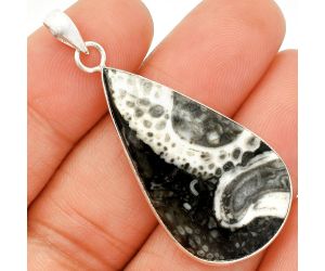 Mexican Cabbing Fossil Pendant SDP150407 P-1001, 20x36 mm