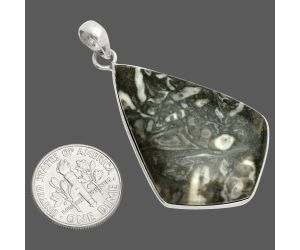 Mexican Cabbing Fossil Pendant SDP150409 P-1001, 27x37 mm