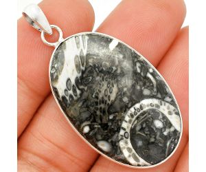 Mexican Cabbing Fossil Pendant SDP150423 P-1001, 22x35 mm