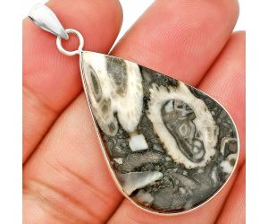Mexican Cabbing Fossil Pendant SDP150429 P-1001, 23x34 mm