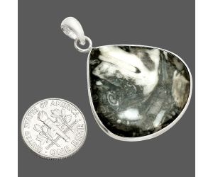 Mexican Cabbing Fossil Pendant SDP150454 P-1001, 29x30 mm